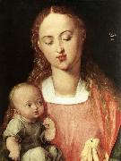 Madonna and Child with the Pear Albrecht Durer